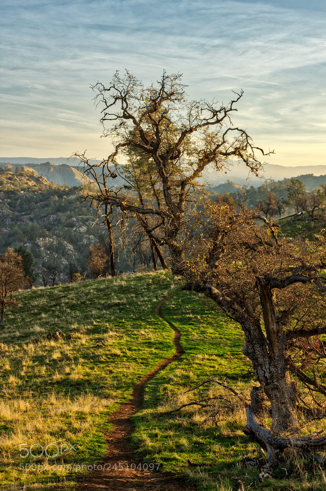 Pentax K-3 II sample photo. Millerton lake - trail photography