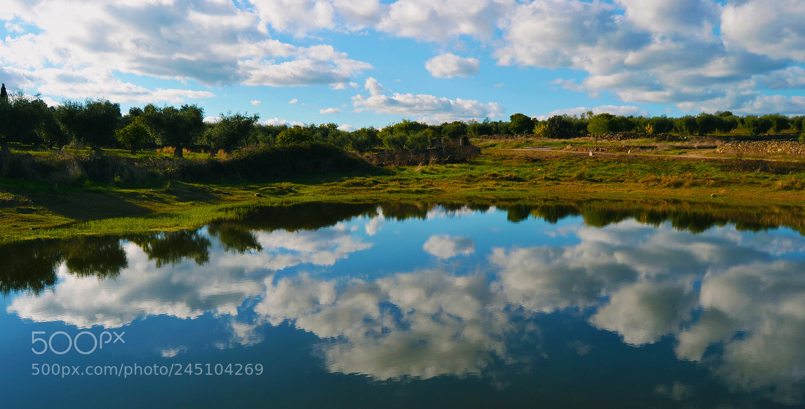 Nikon D3100 sample photo. Reflejo photography