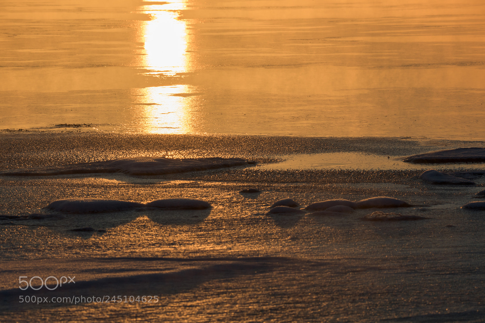 Nikon D500 sample photo. Morning sunlight photography