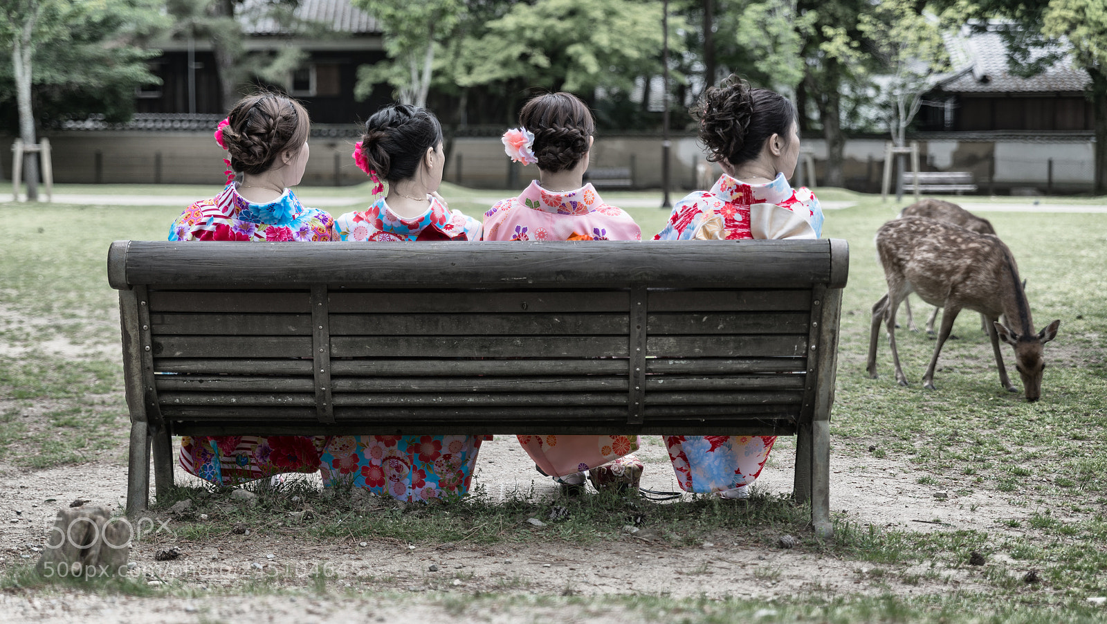 Nikon D800 sample photo. Japanese bench of friends photography