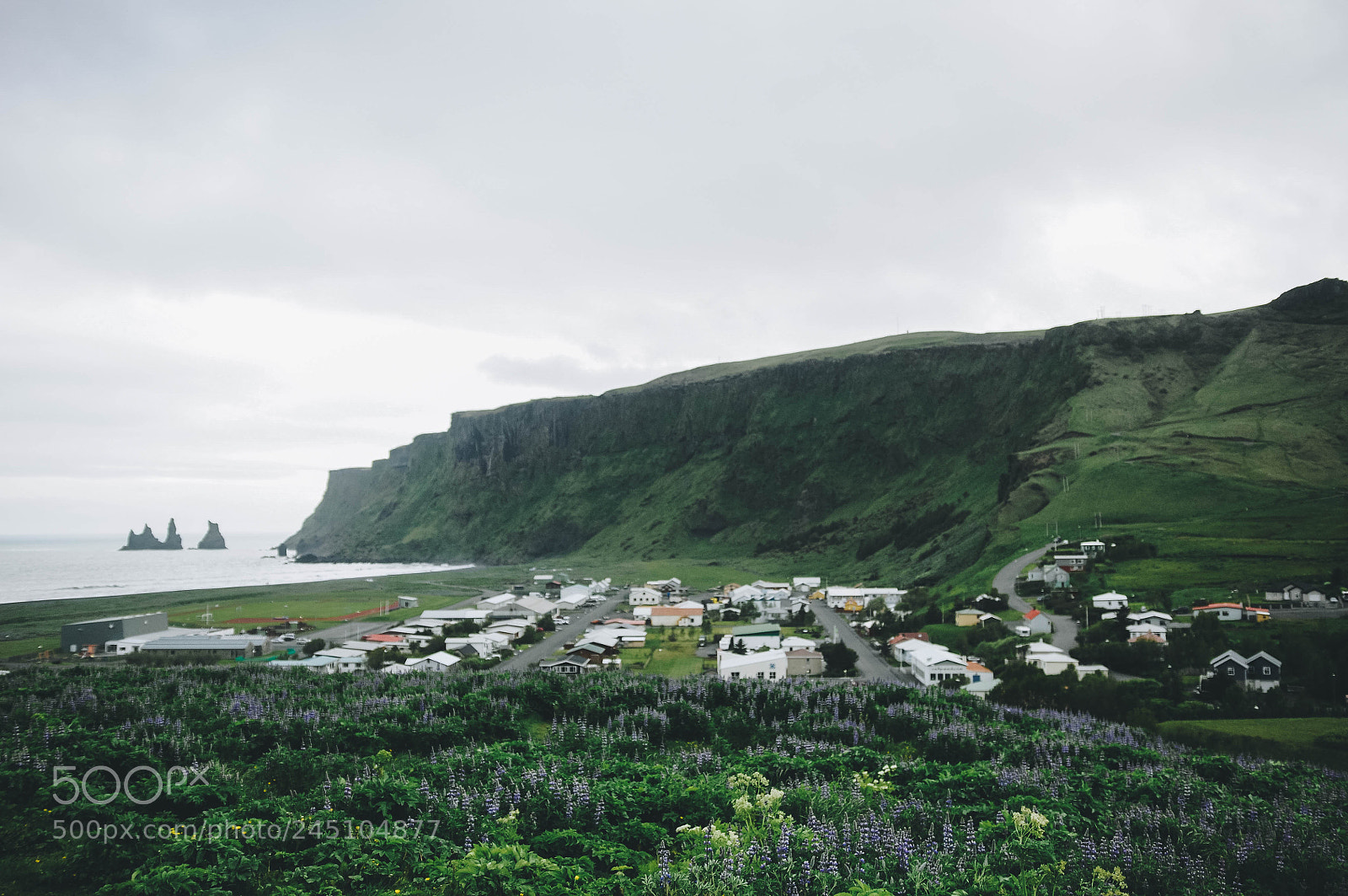 Nikon D90 sample photo. Icelandic boy photography