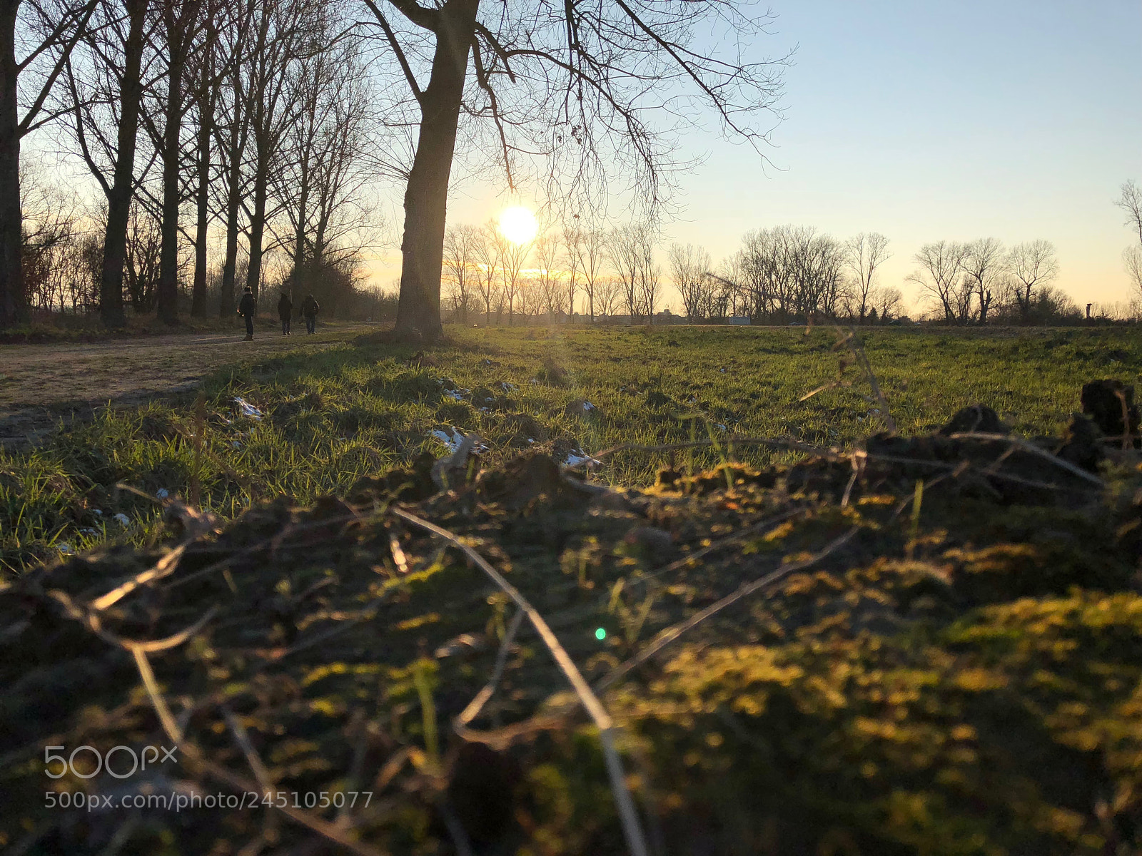 Apple iPhone 8 sample photo. Untitled photography