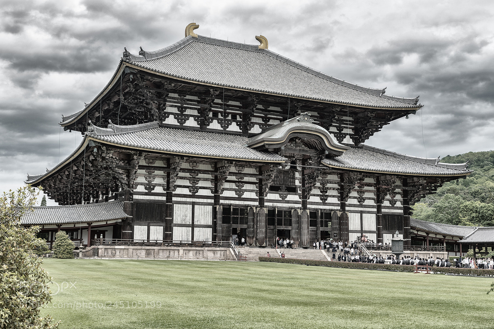 Nikon D800 sample photo. Charm of old culture photography