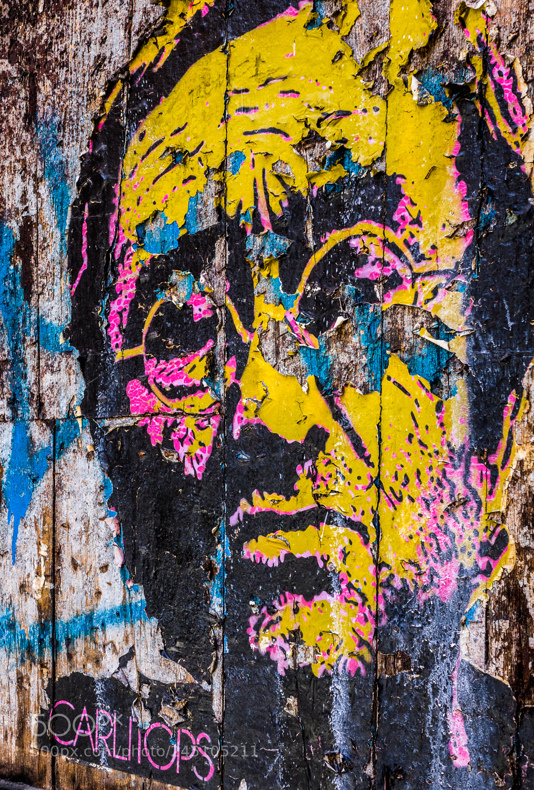 Sony Cyber-shot DSC-RX10 II sample photo. Fading wall art valencia photography
