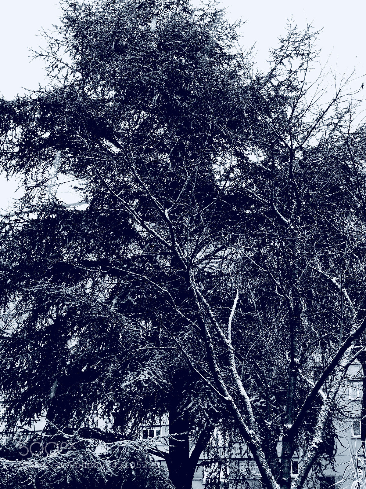 Apple iPhone X sample photo. Winter in paris photography