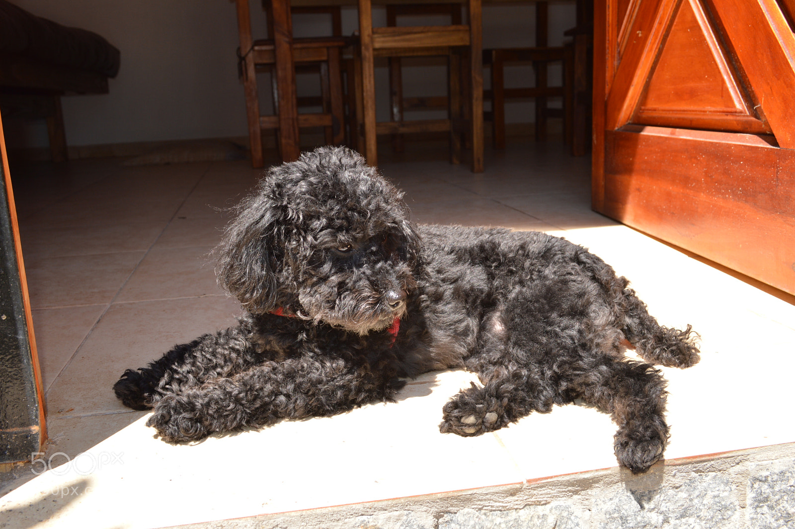 Nikon D3200 sample photo. Leila2 photography