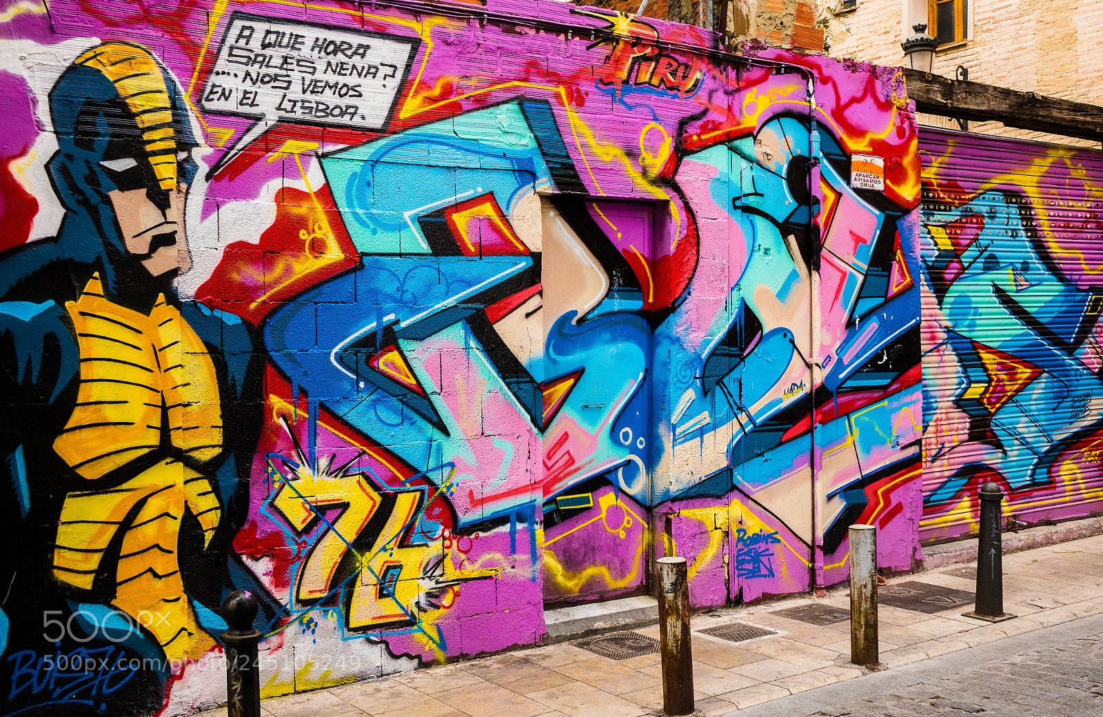 Sony Cyber-shot DSC-RX10 II sample photo. Pianted wall valencia back photography