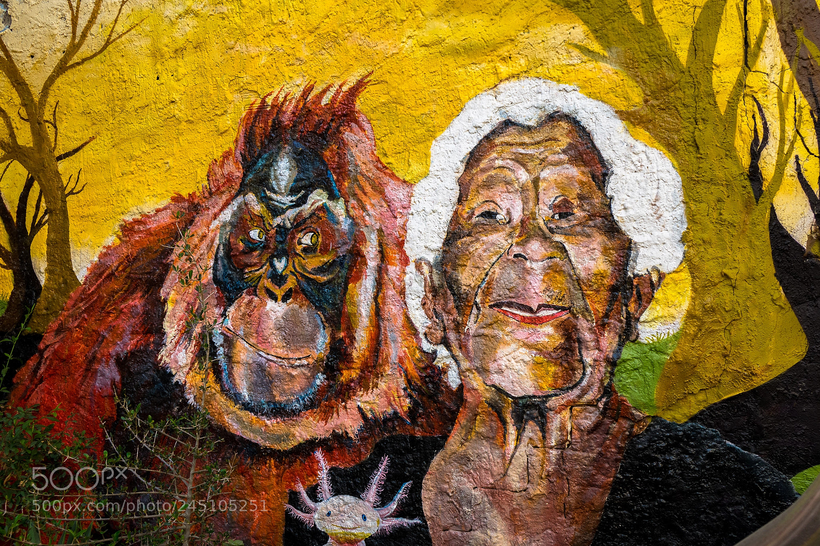 Sony Cyber-shot DSC-RX10 II sample photo. Valencian wall art sony photography