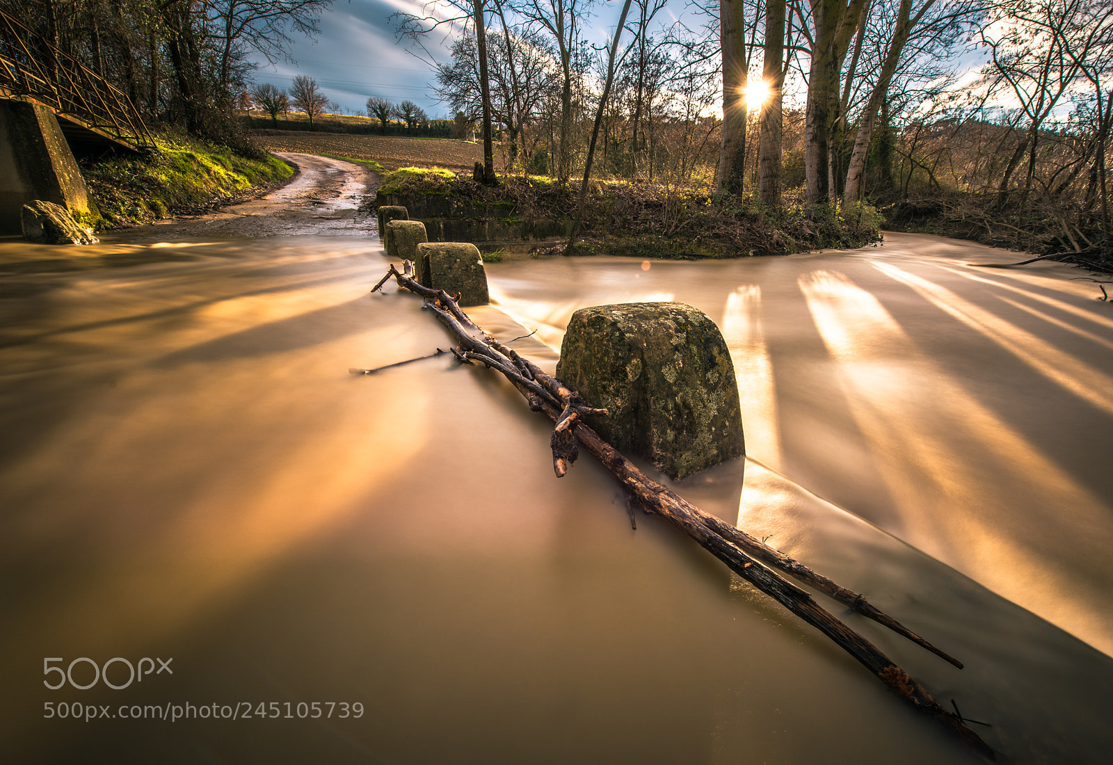 Nikon D810 sample photo. Il torrente che volle photography