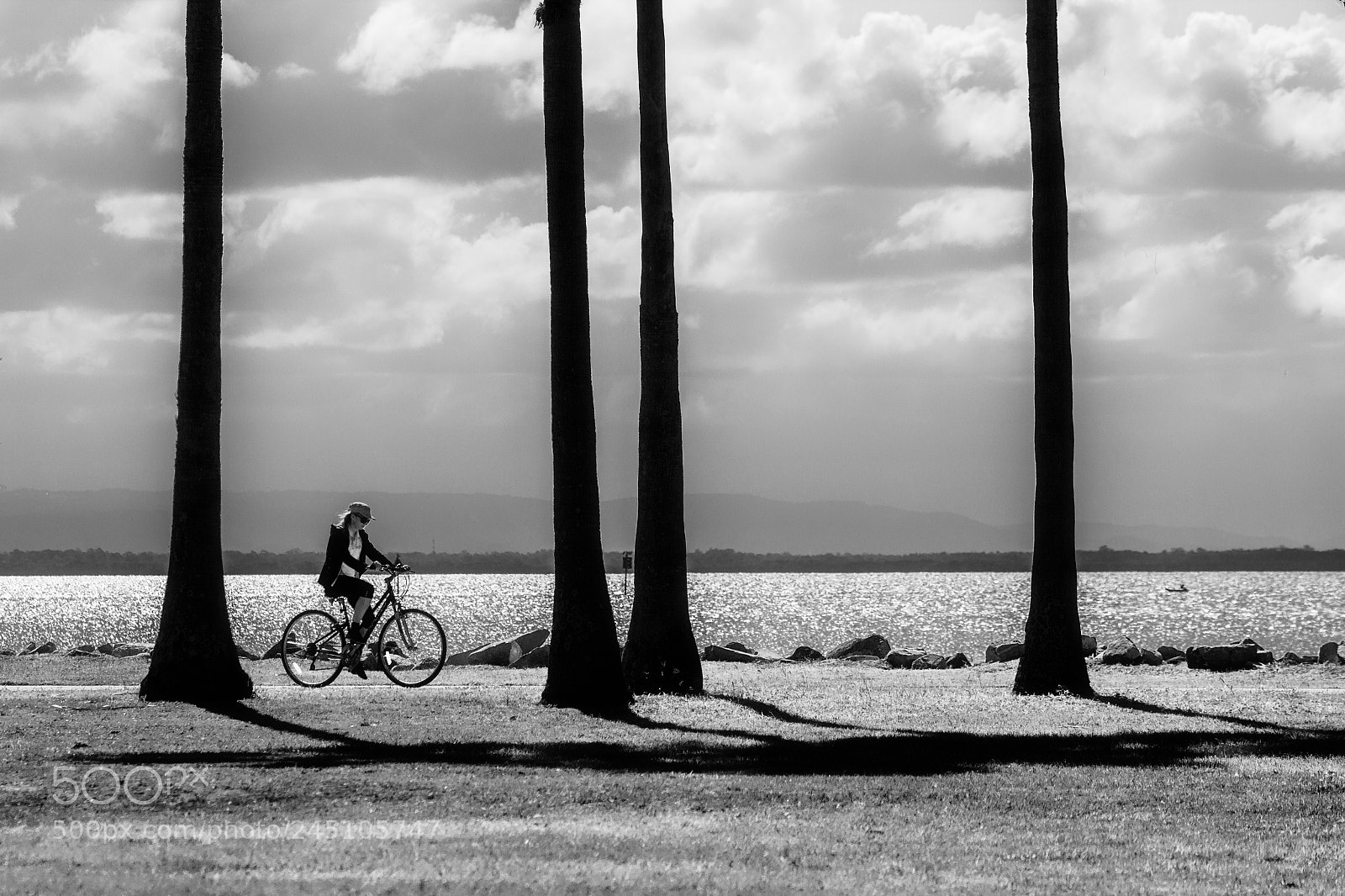 Canon EOS 60D sample photo. Four palms and the photography