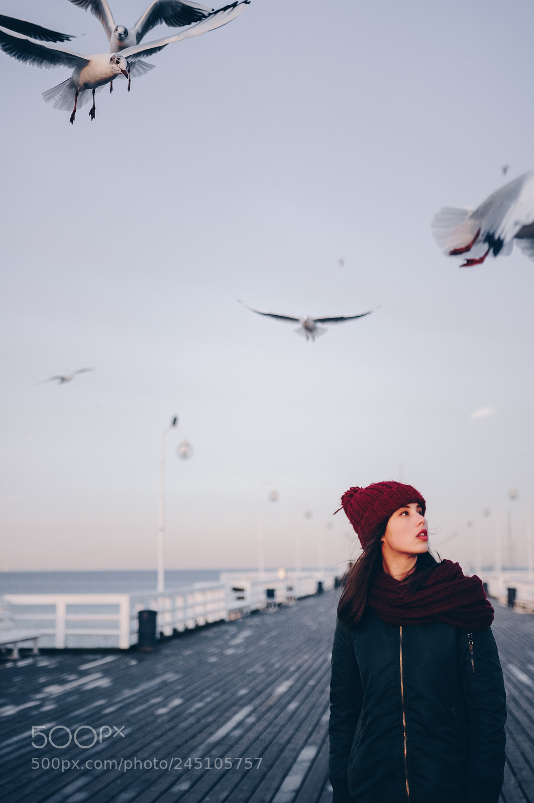 Nikon D90 sample photo. Seagull pier photography