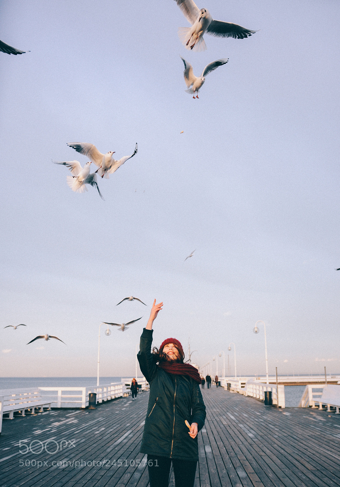 Nikon D90 sample photo. Seagull pier photography