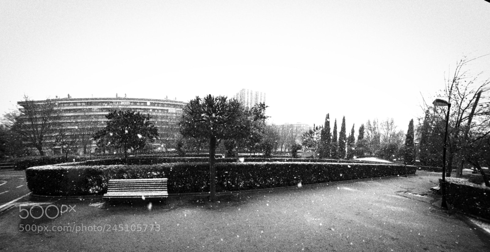 Nikon D610 sample photo. Panorama photography