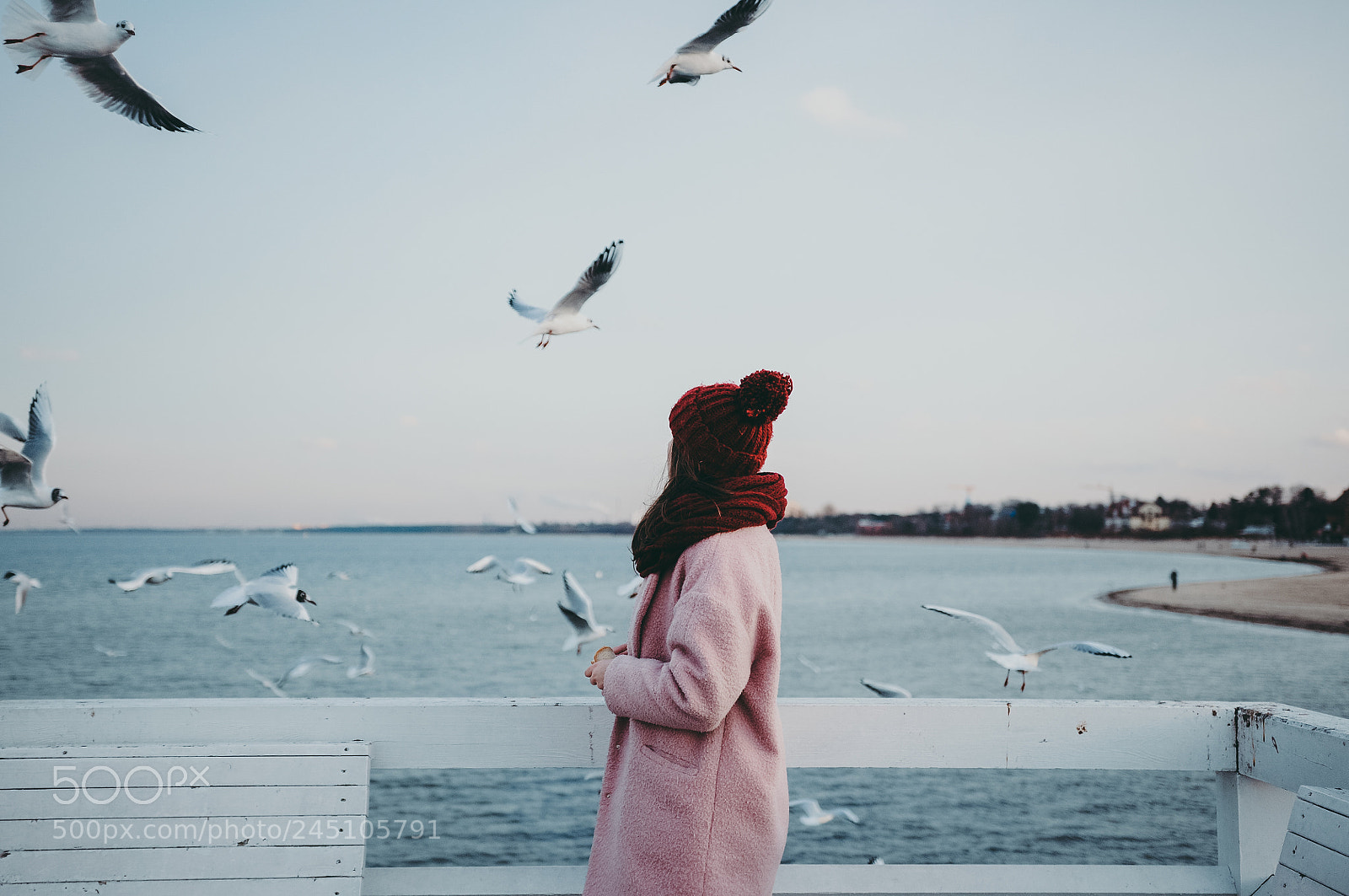 Nikon D90 sample photo. Seagull pier photography