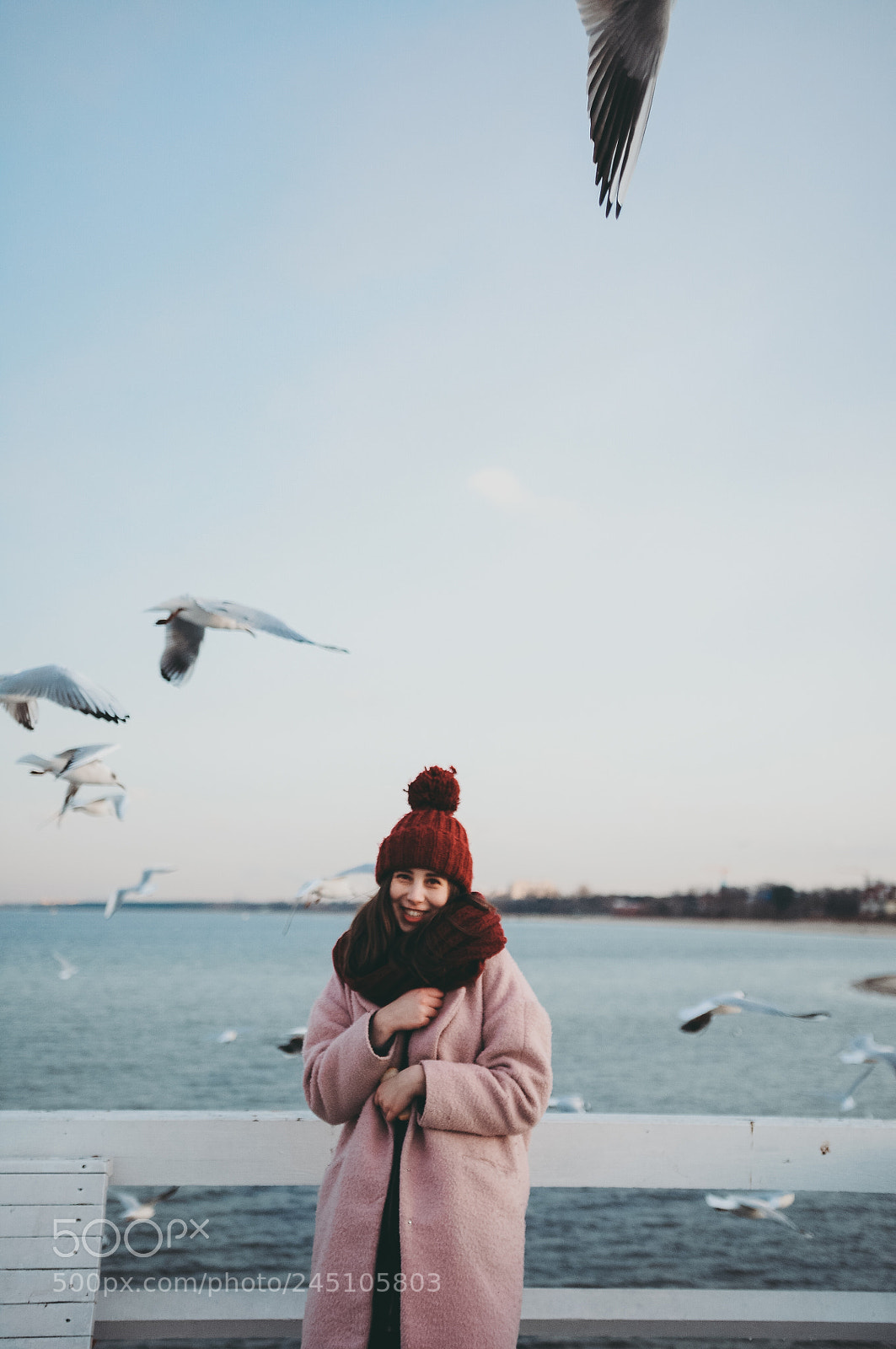 Nikon D90 sample photo. Seagull pier photography