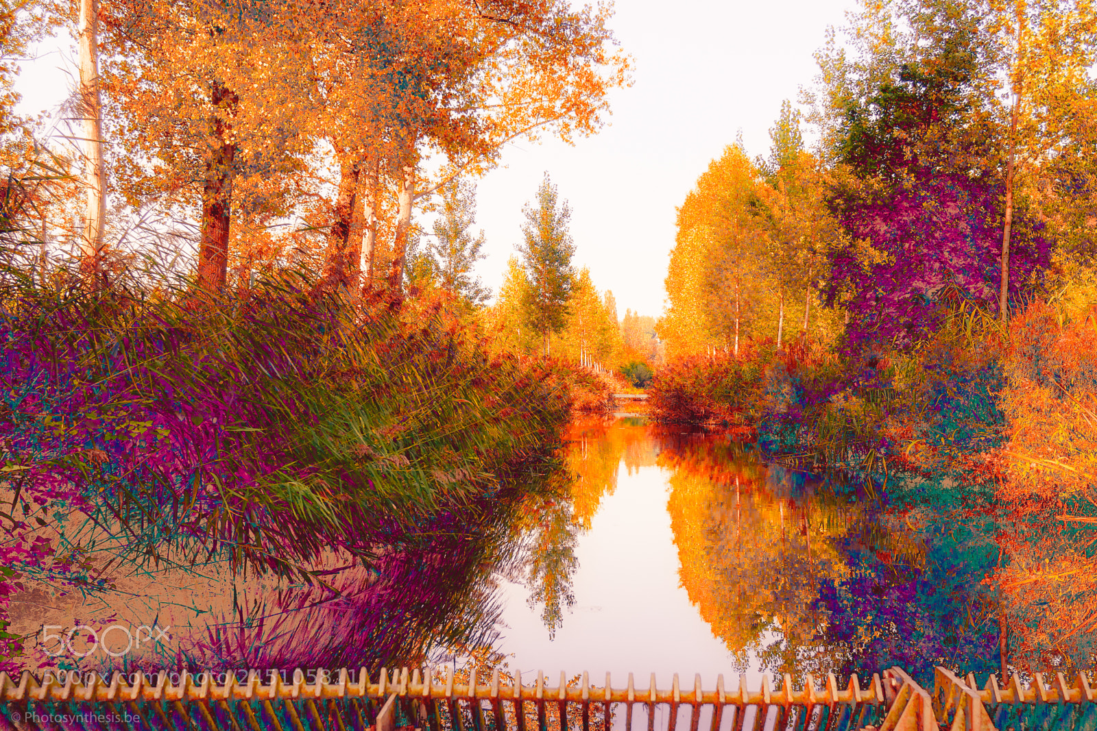 Olympus OM-D E-M10 sample photo. Painters palette photography