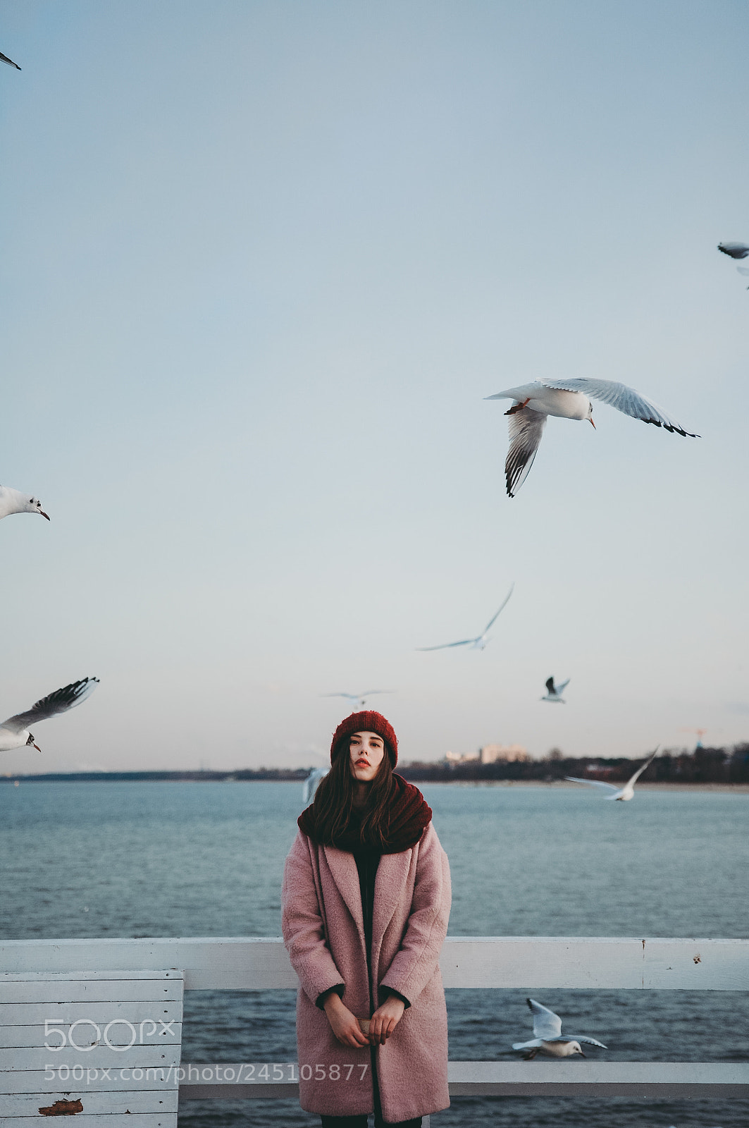 Nikon D90 sample photo. Seagull pier photography