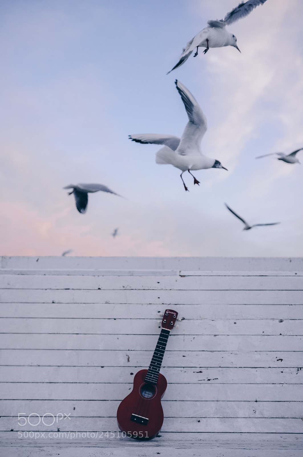 Nikon D90 sample photo. Seagull pier photography