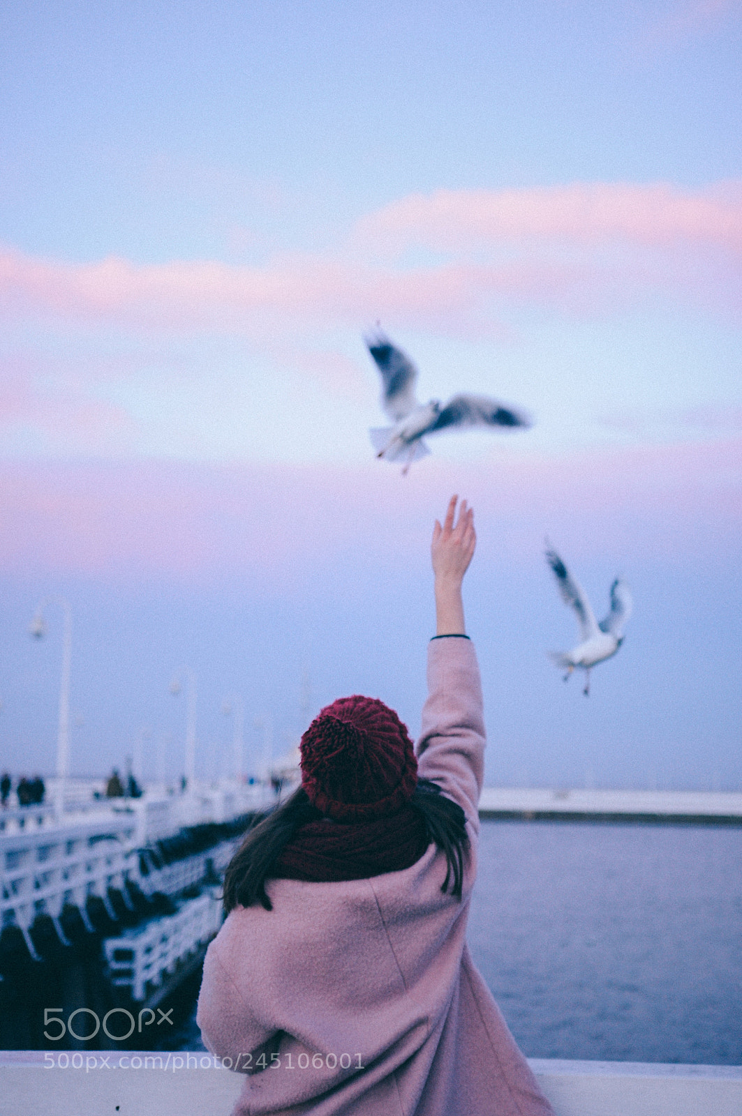 Nikon D90 sample photo. Seagull pier photography