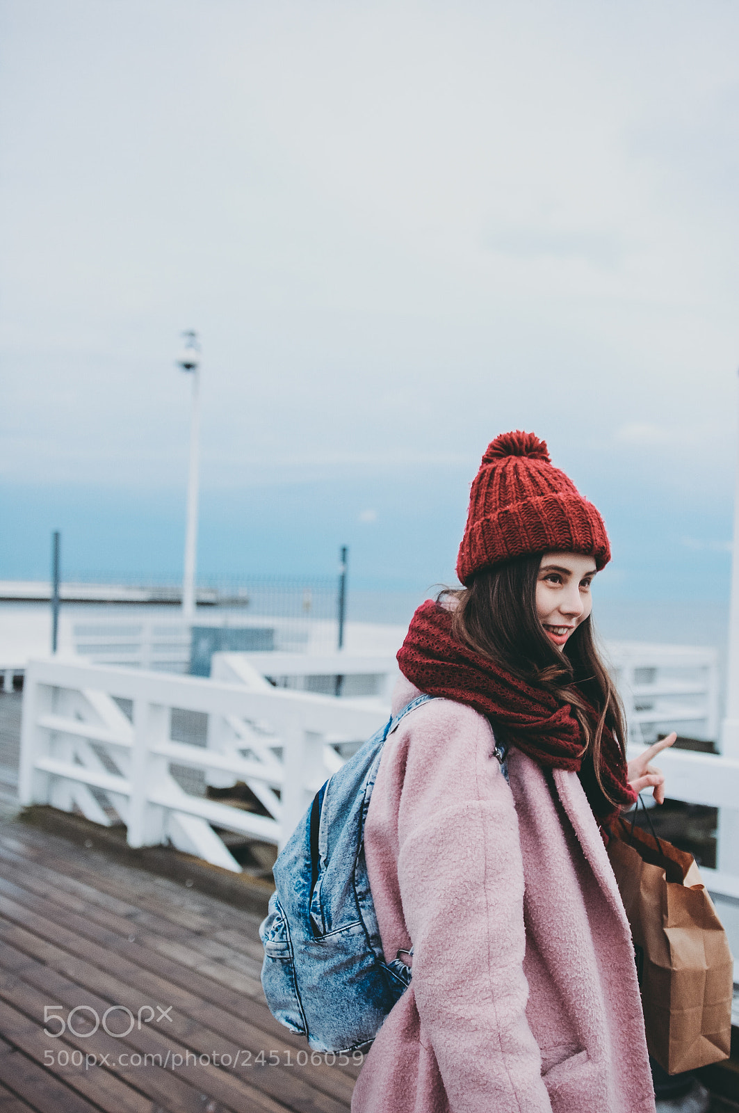 Nikon D90 sample photo. Seagull pier photography
