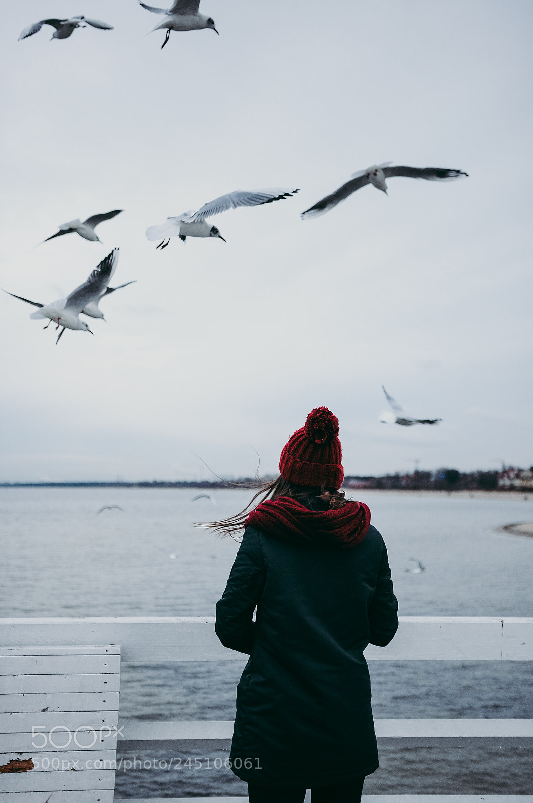 Nikon D90 sample photo. Seagull pier photography