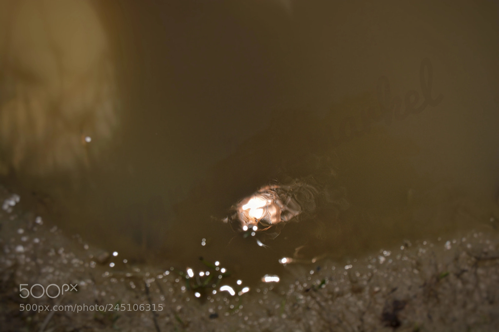 Nikon D5200 sample photo. Untitled photography