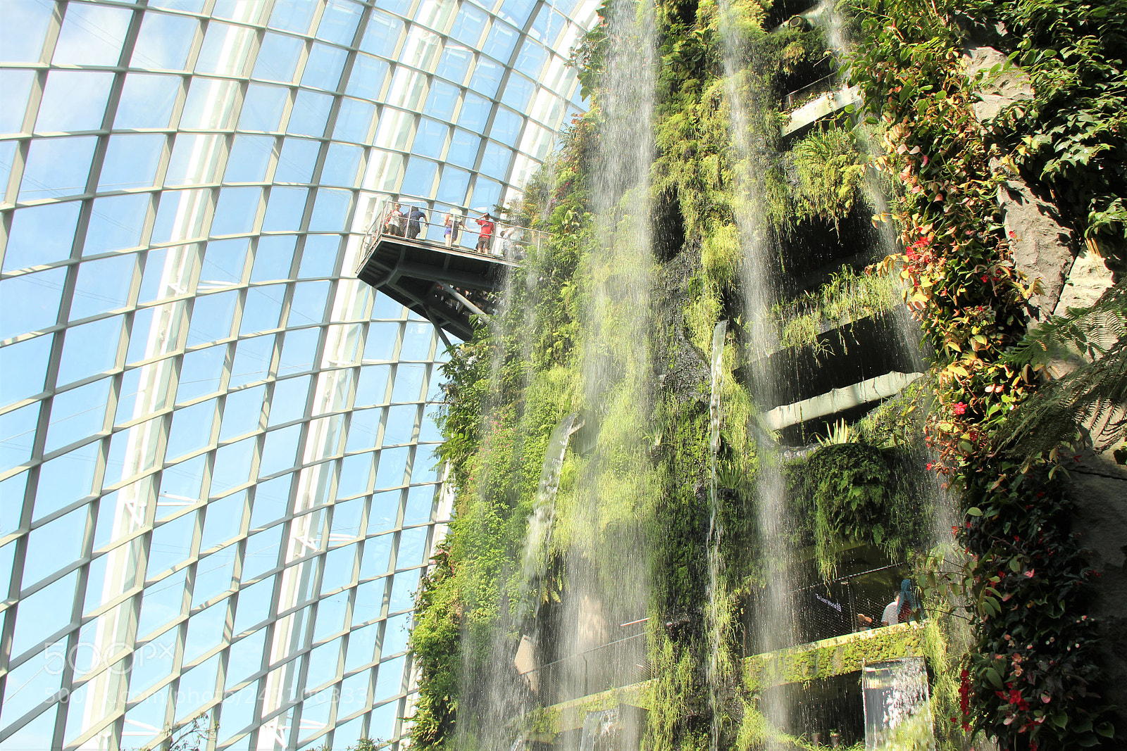 Canon EOS 550D (EOS Rebel T2i / EOS Kiss X4) sample photo. Indoor forest photography
