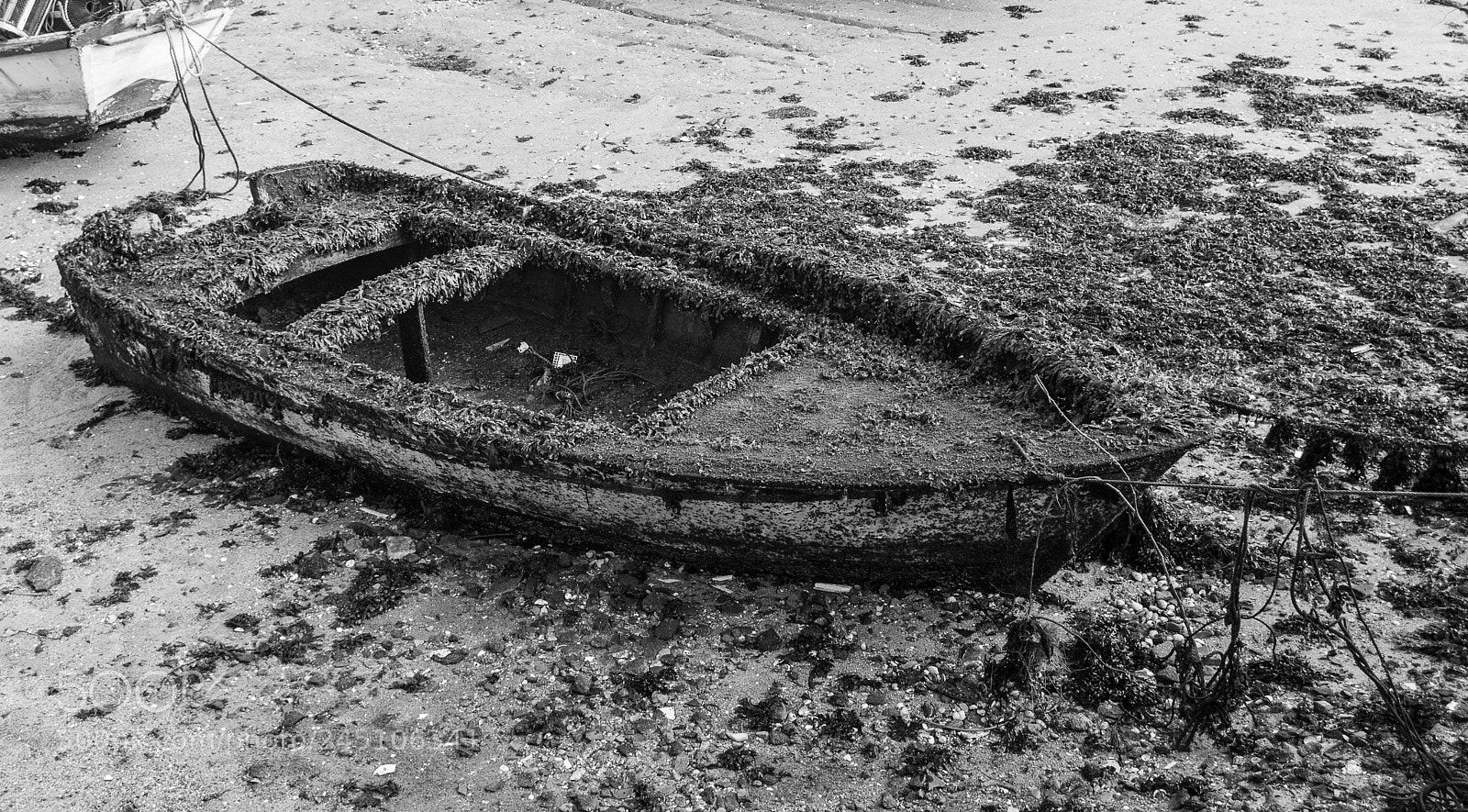 Nikon D5200 sample photo. The sunken boat photography