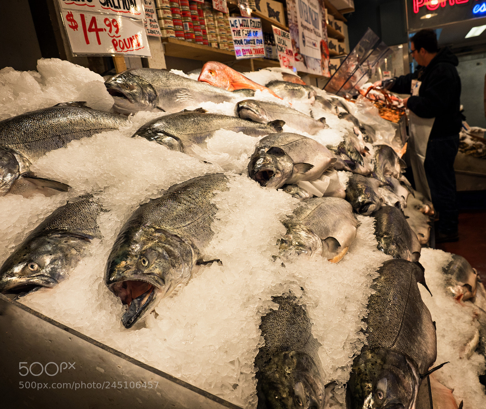 Olympus OM-D E-M1 Mark II sample photo. Fish market photography