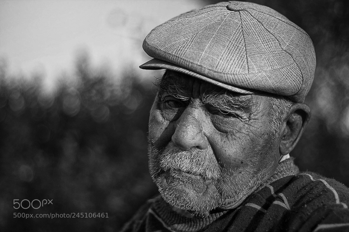 Canon EOS 40D sample photo. Elder statesman photography