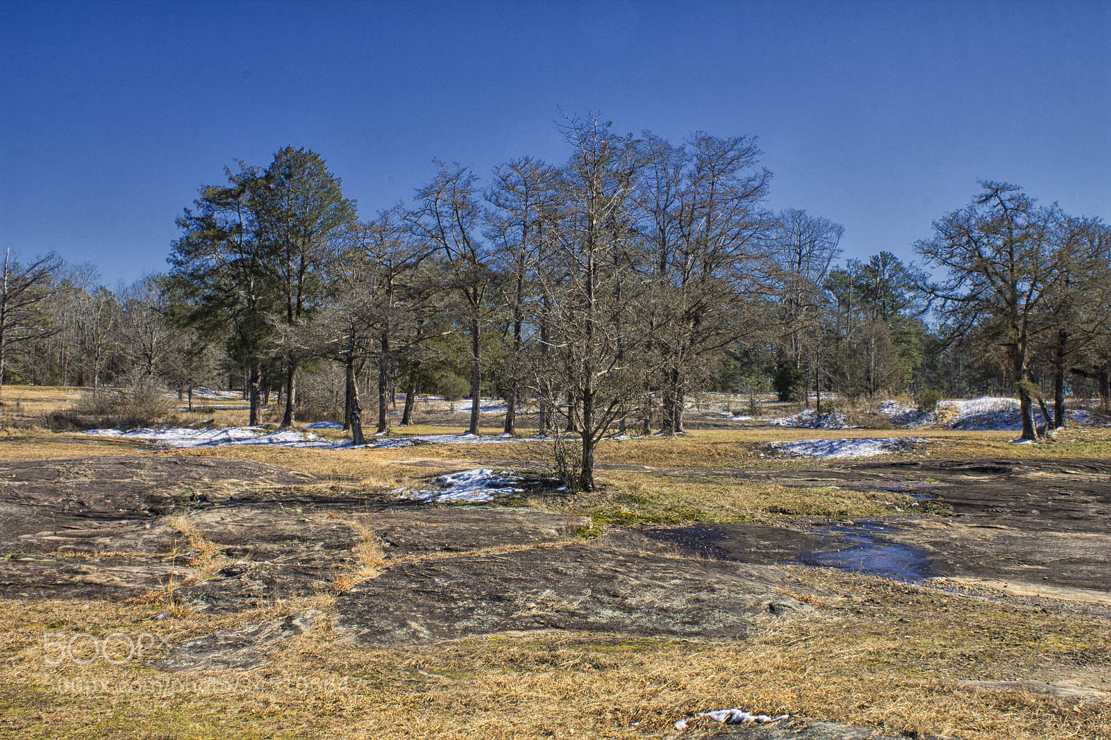 Canon EOS 1100D (EOS Rebel T3 / EOS Kiss X50) sample photo. Trees, snow, and rock #2 photography