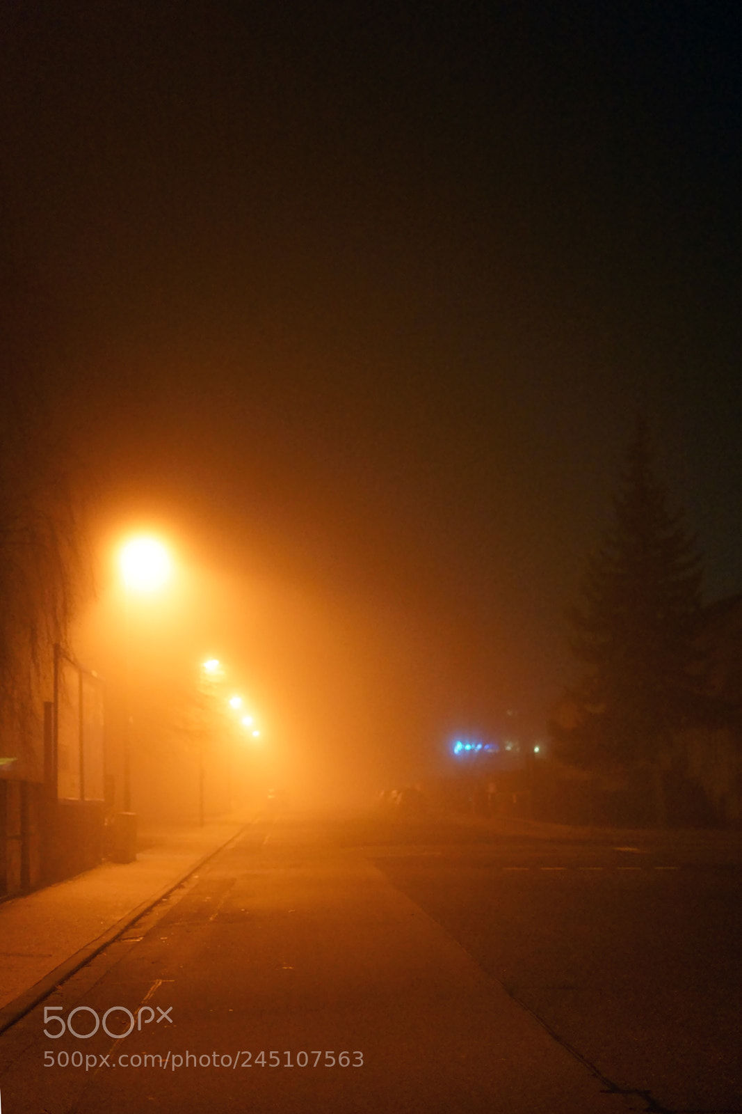Sony a7 II sample photo. Road at night in photography