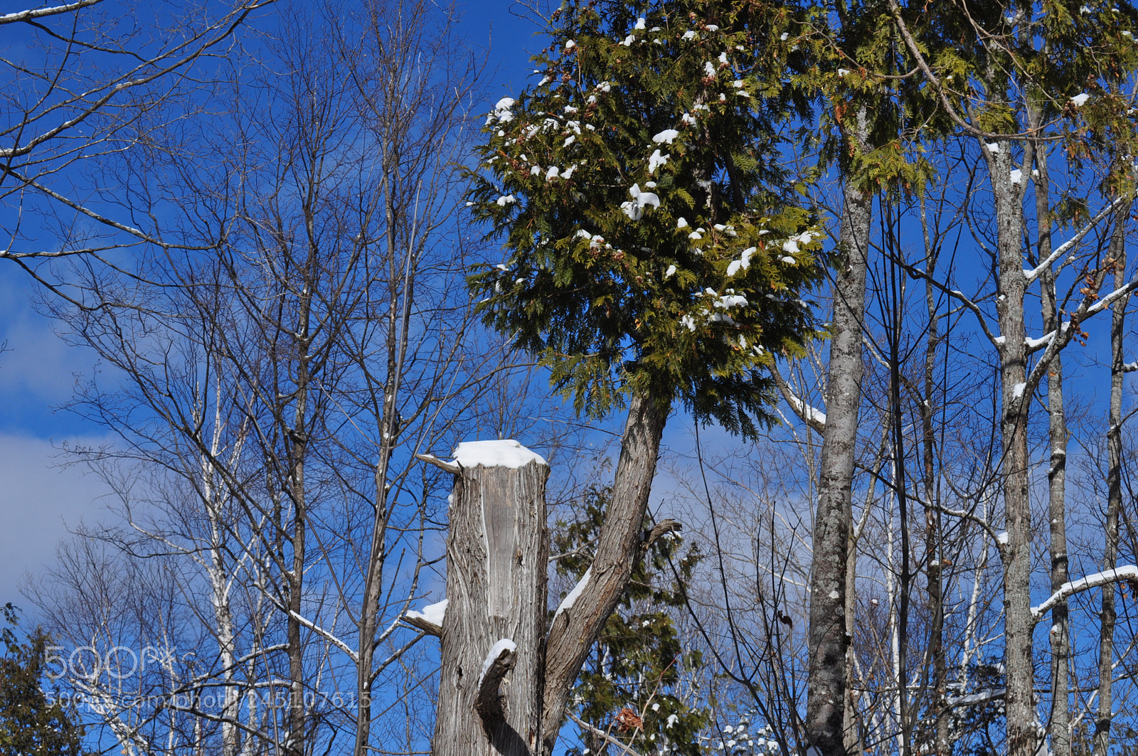 Nikon D5000 sample photo. Weird photography