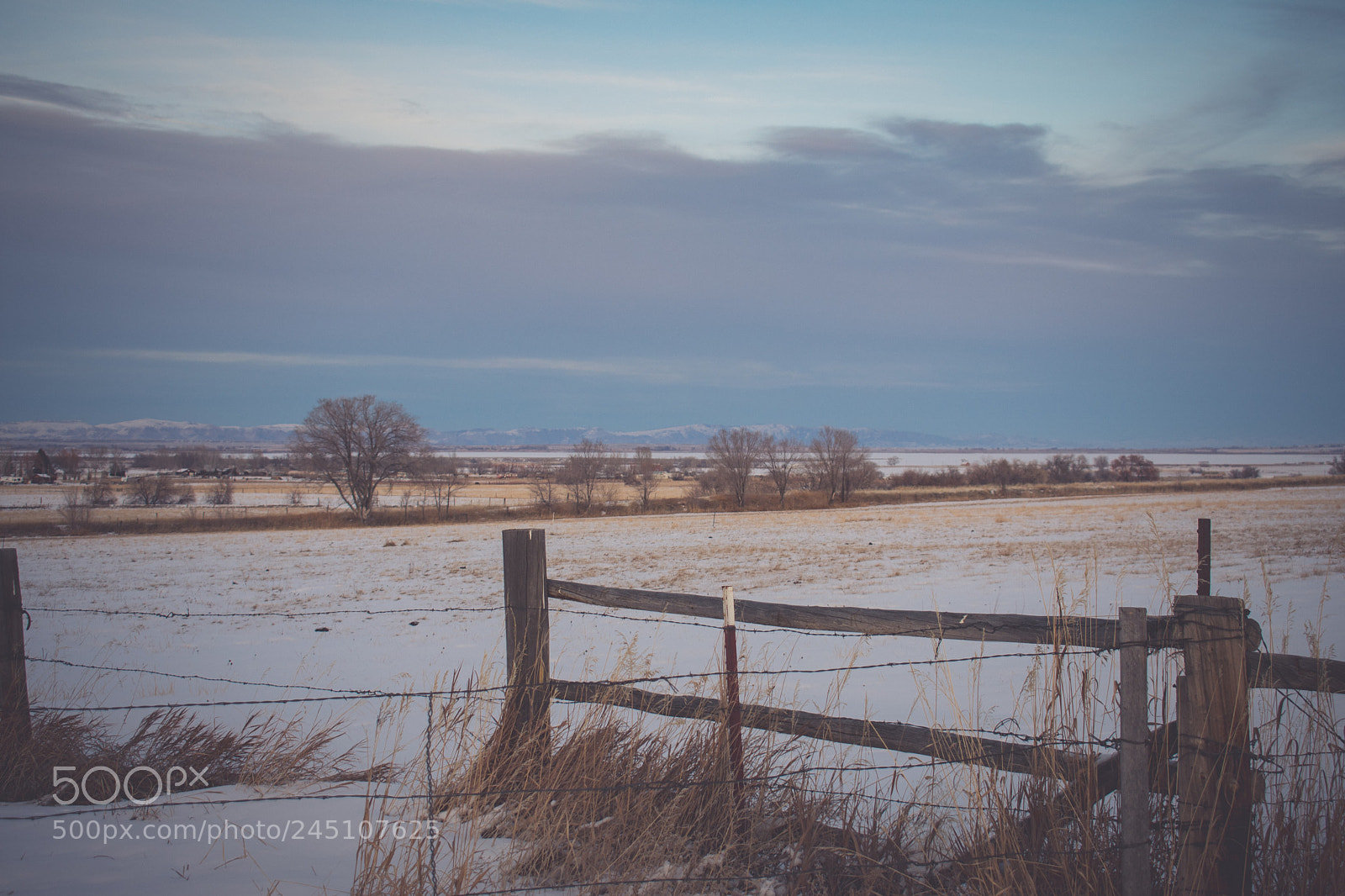 Nikon D3400 sample photo. Winter scene photography