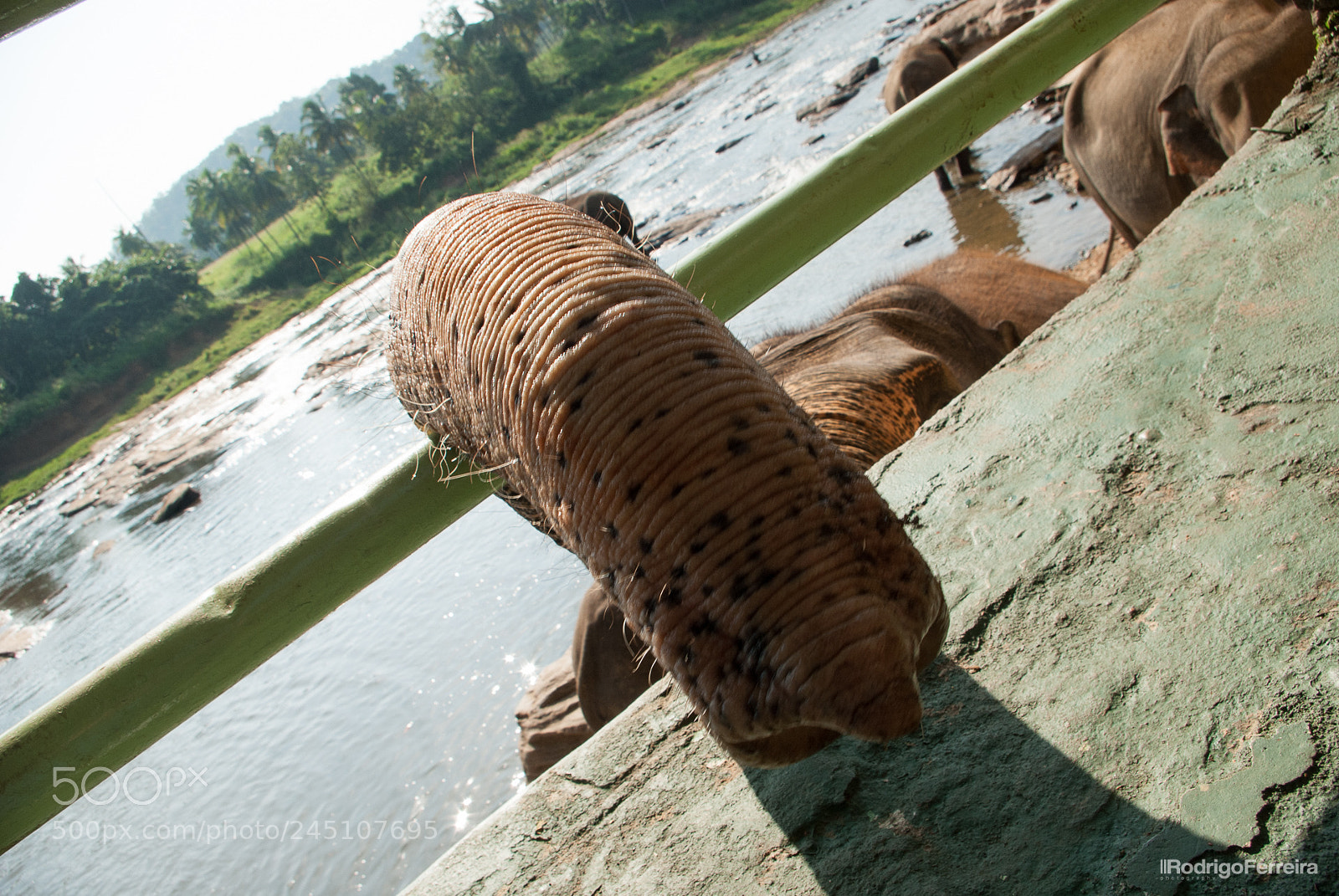 Pentax K200D sample photo. Sri lanka - places photography