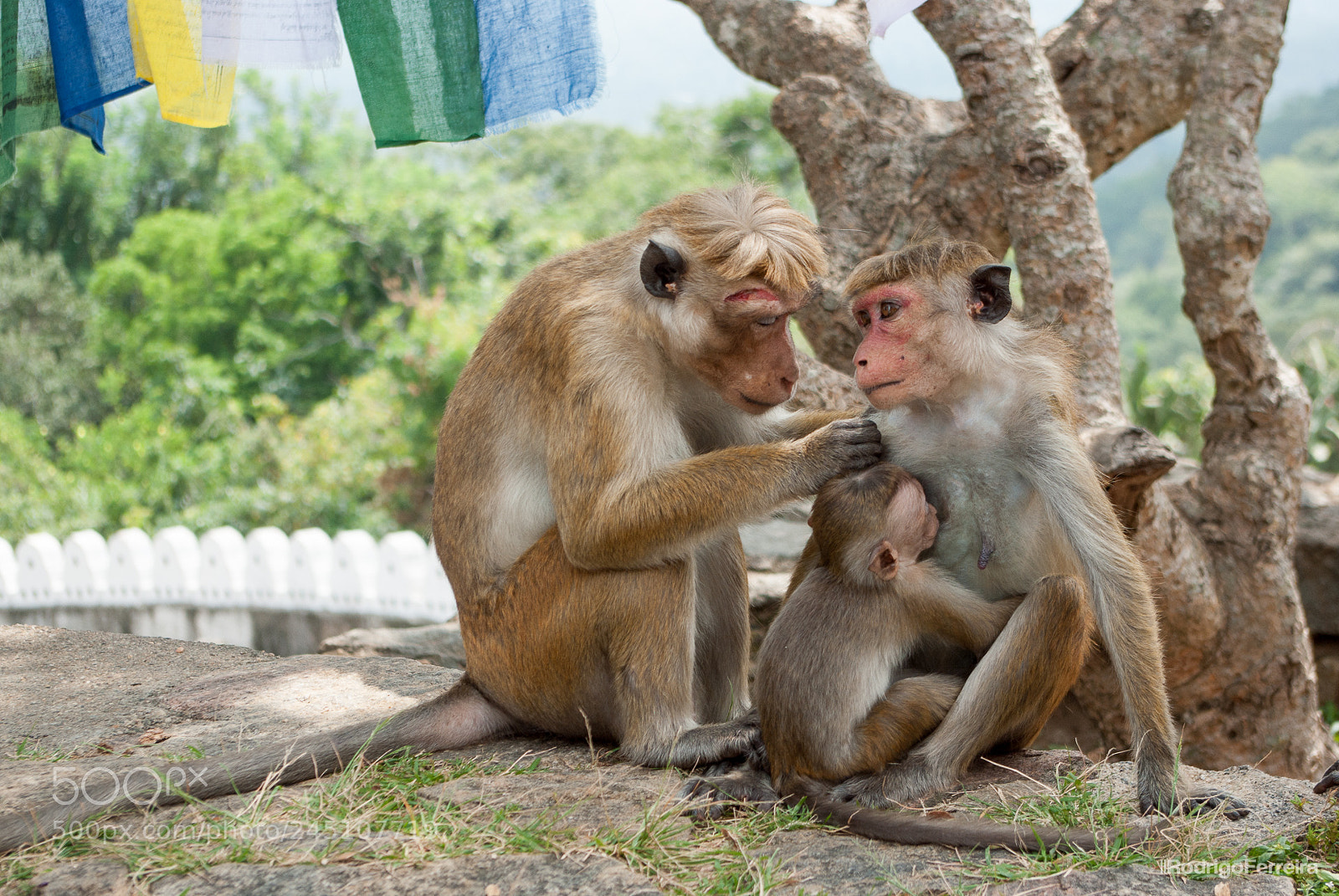 Pentax K200D sample photo. Sri lanka - places photography