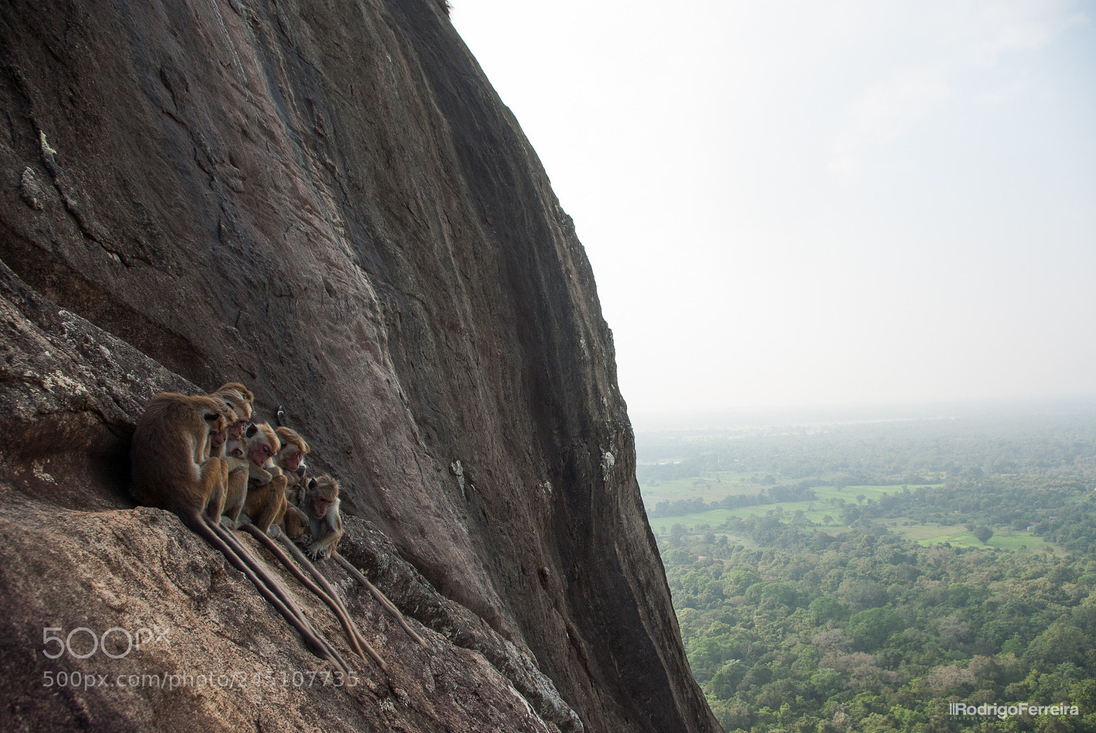 Pentax K200D sample photo. Sri lanka - places photography
