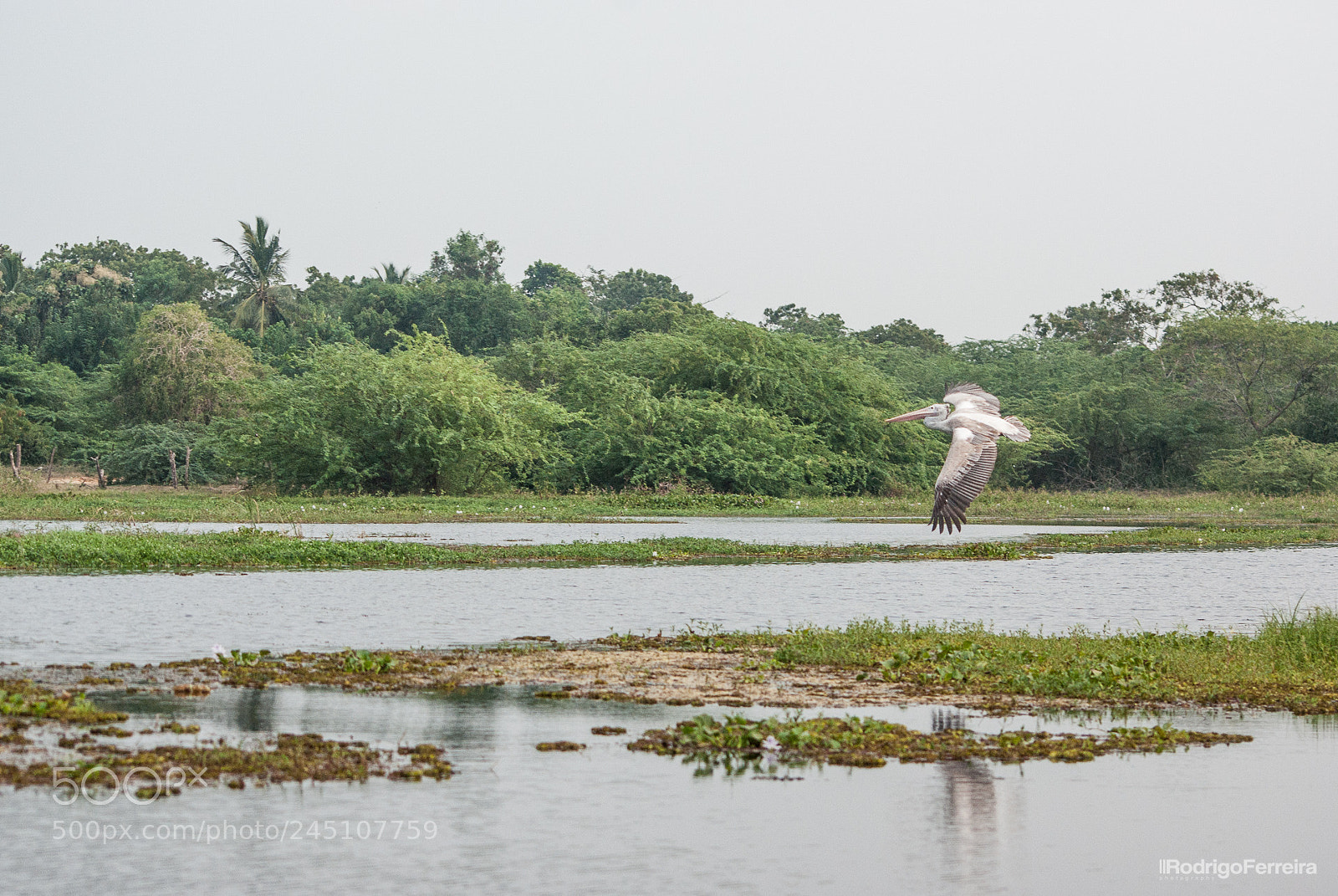 Pentax K200D sample photo. Sri lanka - places photography