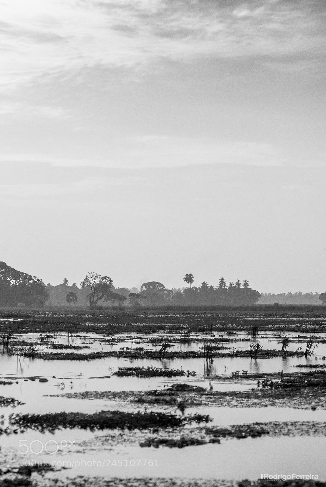 Pentax K200D sample photo. Sri lanka - places photography