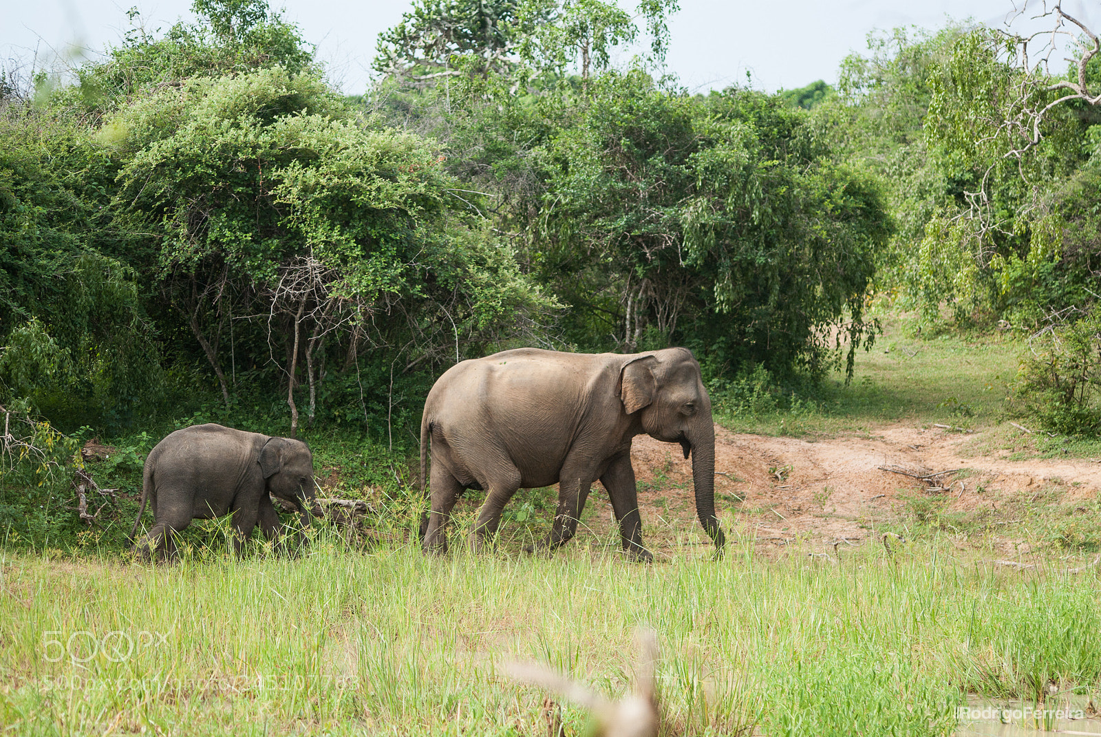 Pentax K200D sample photo. Sri lanka - places photography