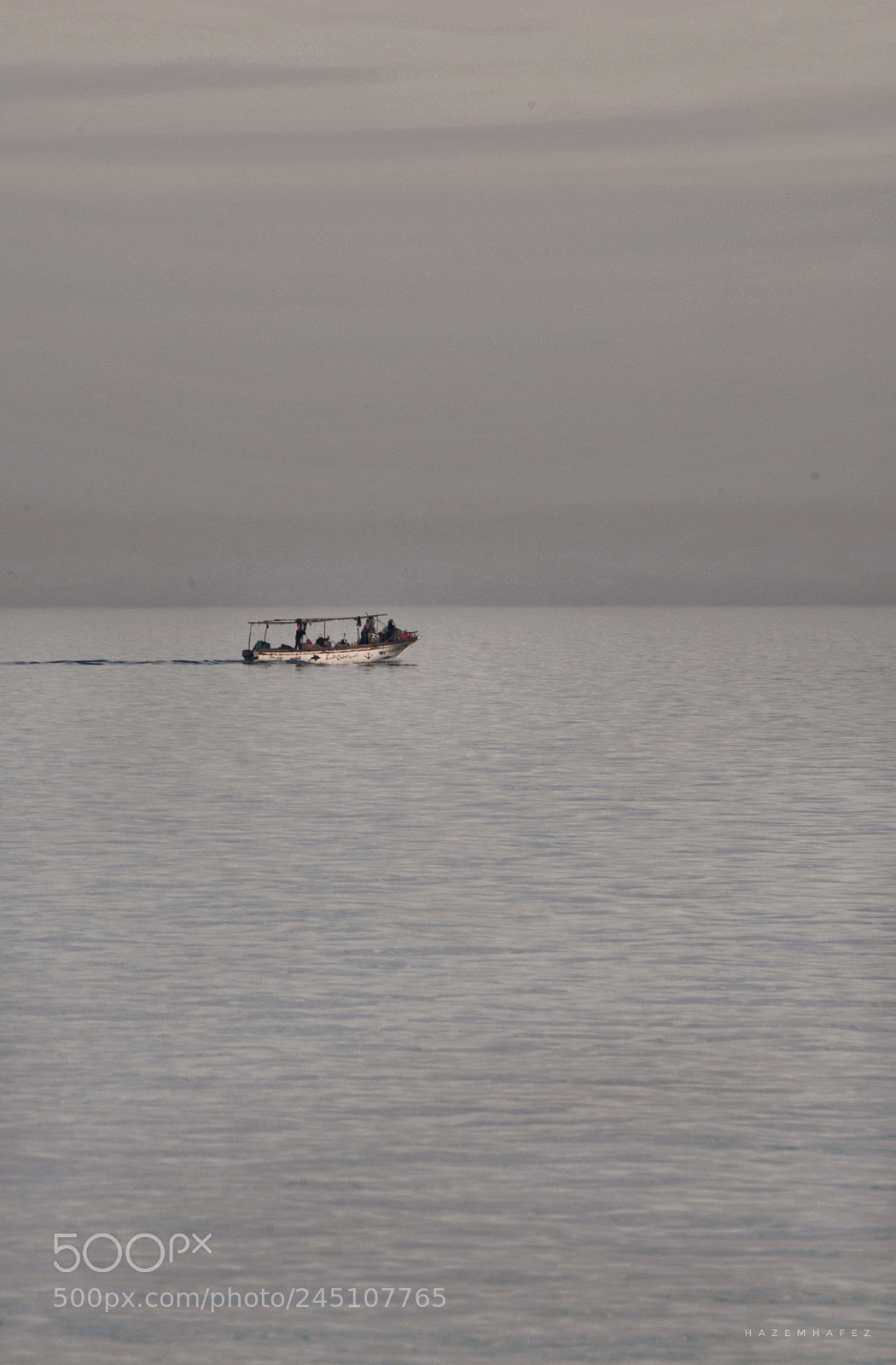 Nikon D610 sample photo. Silver trip ... photography