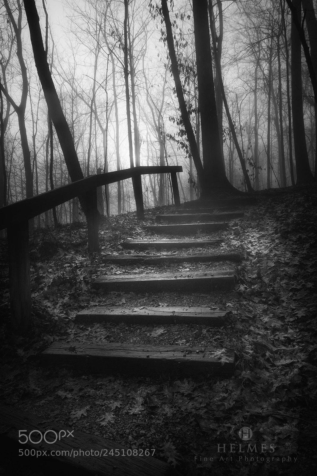 Canon EOS 60D sample photo. Misty morning photography