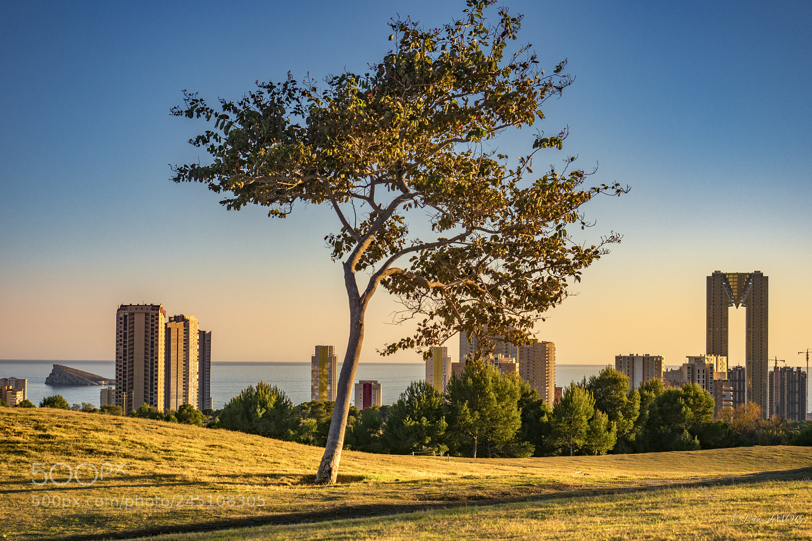 Olympus OM-D E-M1 Mark II sample photo. Sunset in benidorm photography