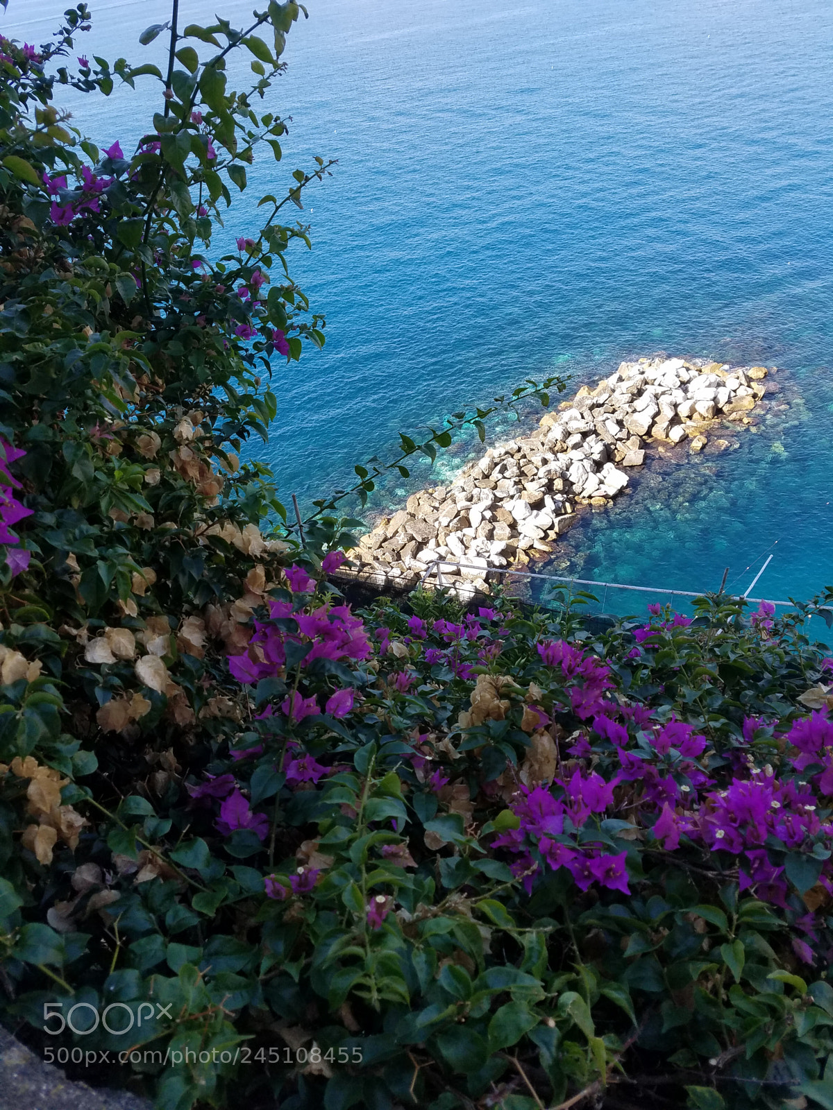 Samsung Galaxy S7 Edge sample photo. 20170922_113456.jpg photography