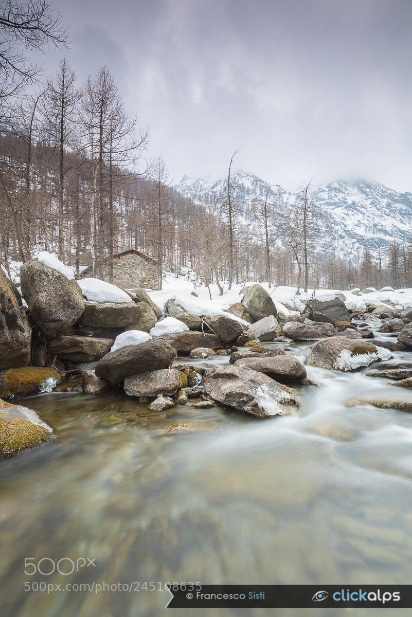 Nikon D810 sample photo. Grange randonero, valle soana photography