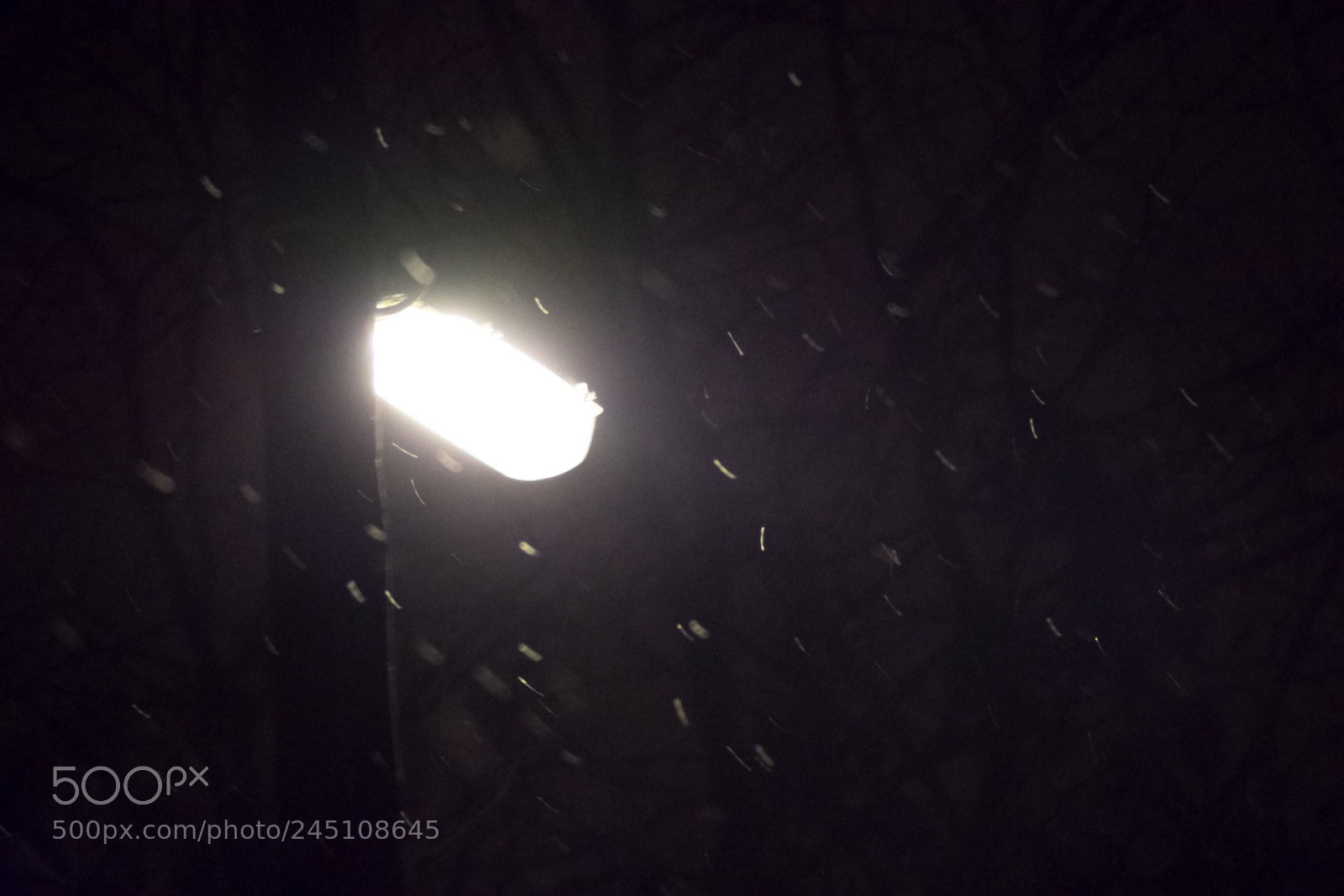 Nikon D3400 sample photo. Snowfall photography