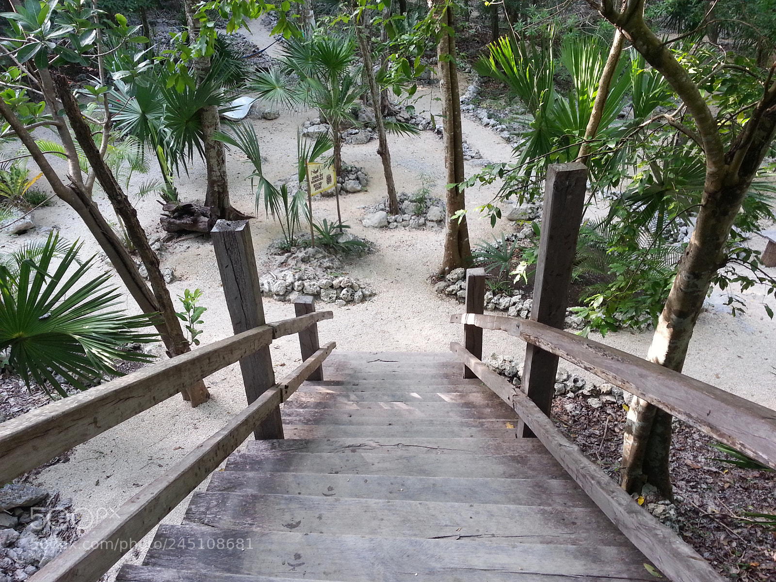 Samsung Galaxy S3 sample photo. Cenote 2 ojos photography