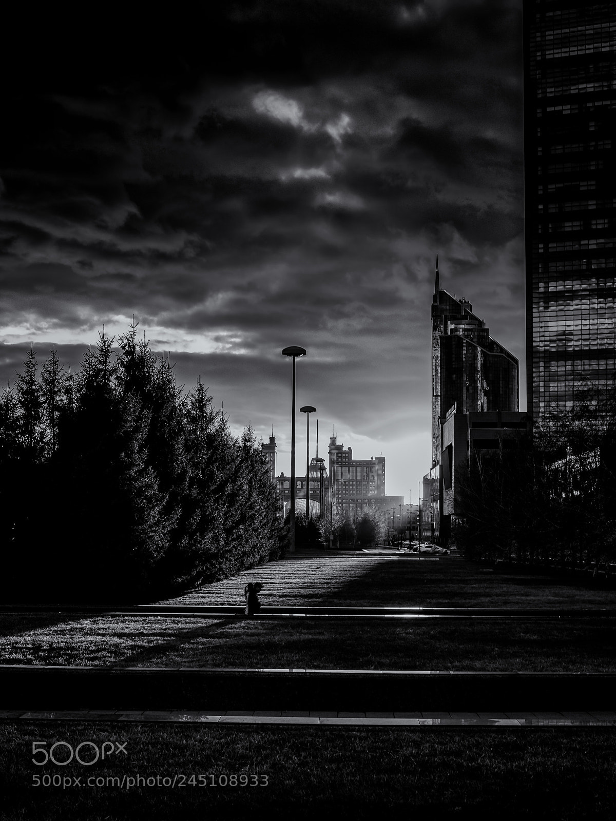 Nikon D810 sample photo. Astana sunset photography