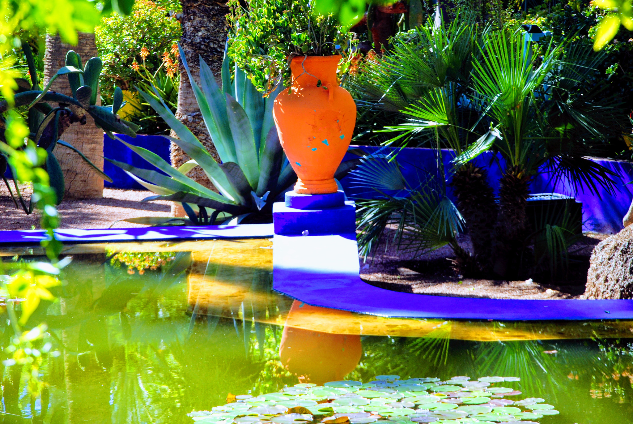 Nikon D3000 sample photo. Jardin majorelle photography