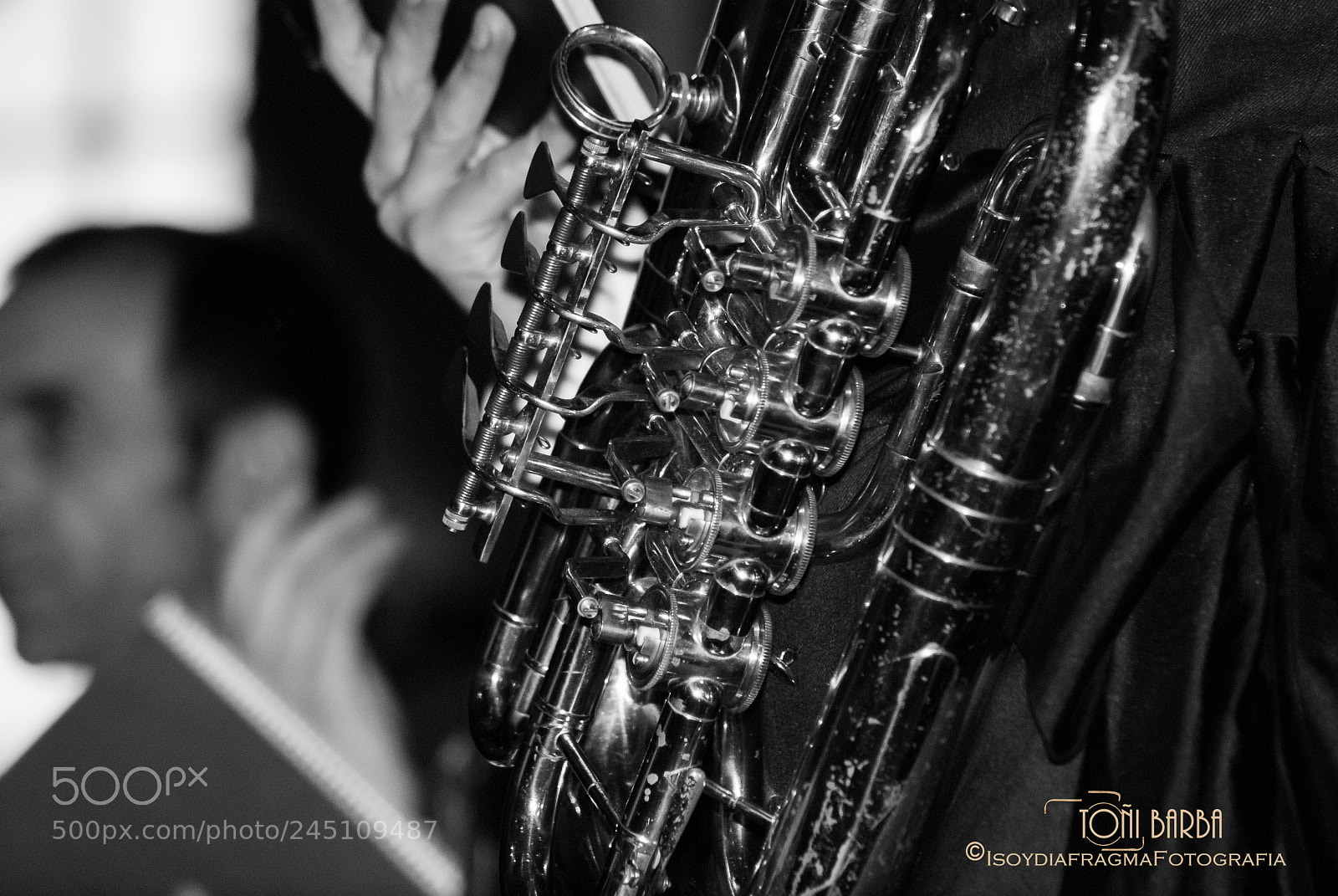 Nikon D80 sample photo. Untitled photography